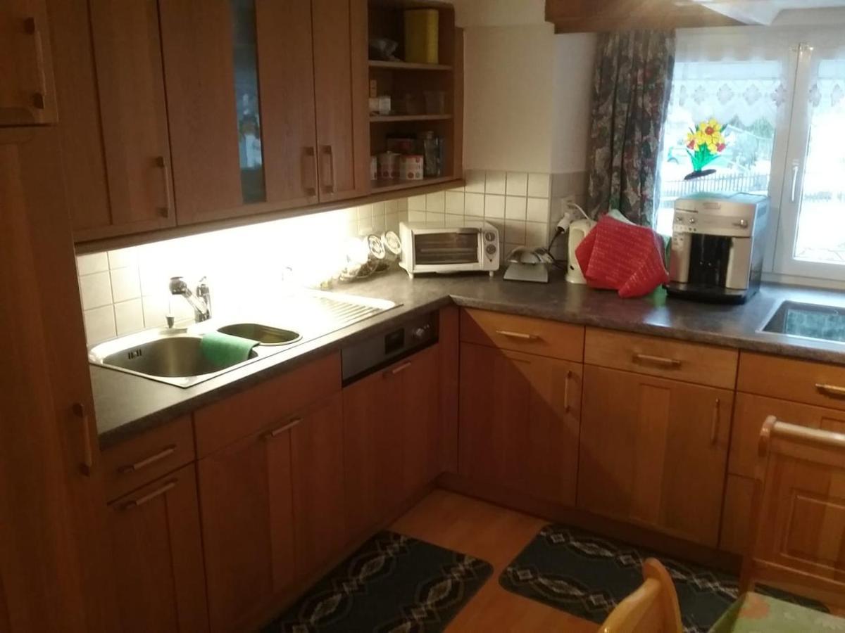 Walser Chalet Casa Paterna ディセンティス エクステリア 写真