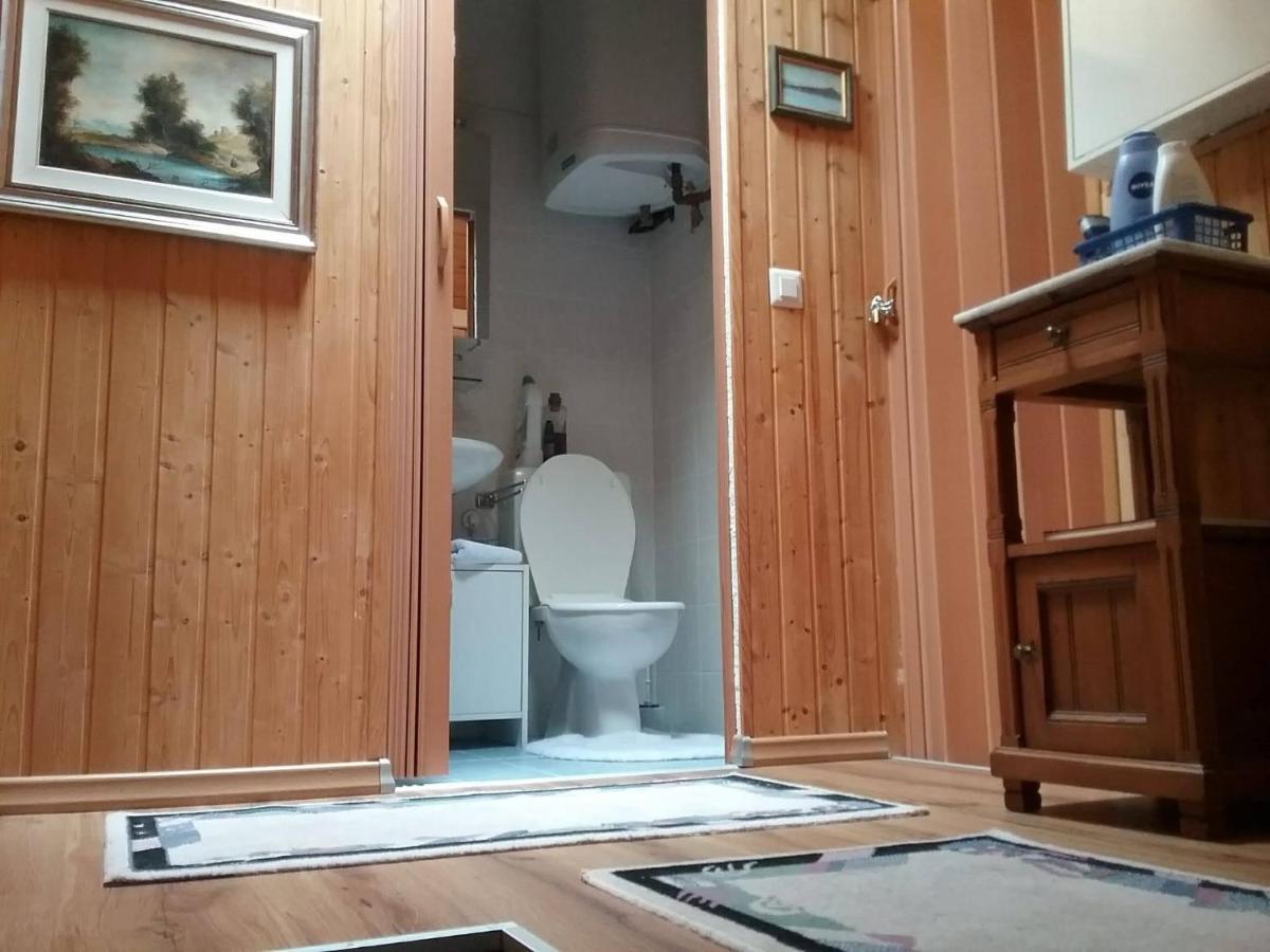 Walser Chalet Casa Paterna ディセンティス エクステリア 写真