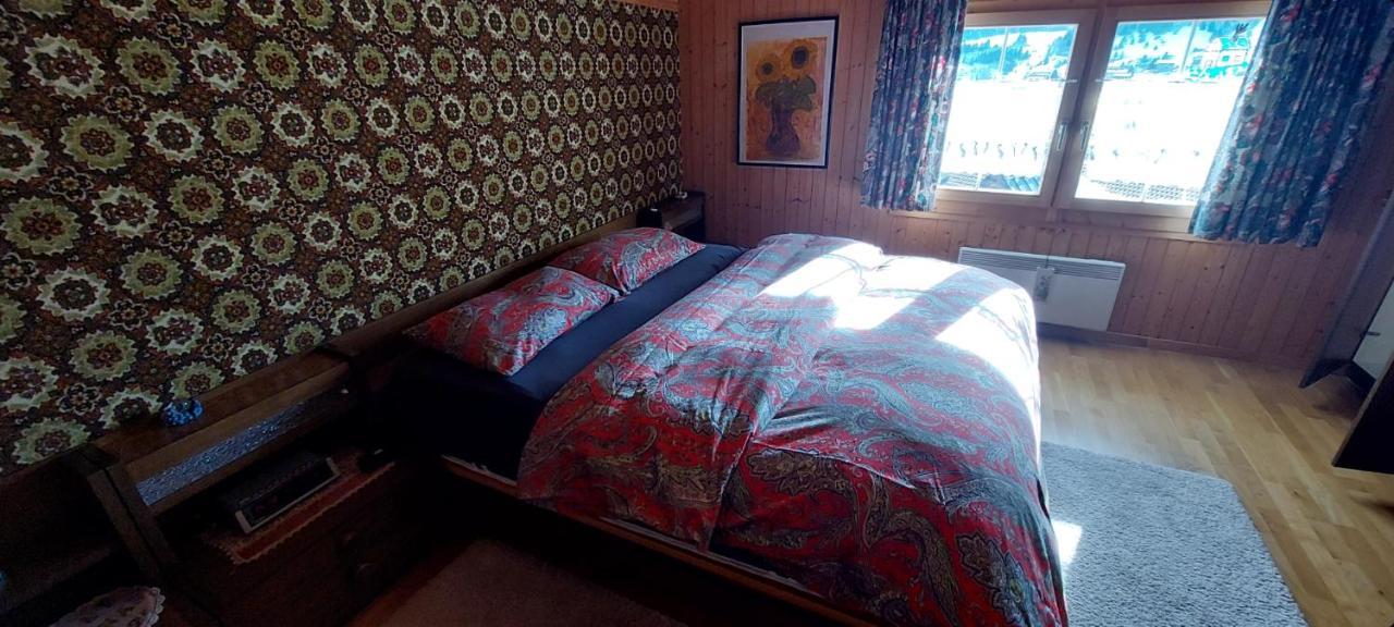 Walser Chalet Casa Paterna ディセンティス エクステリア 写真